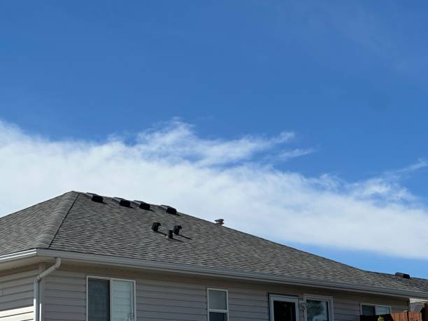 Skylights in Bayard, NE